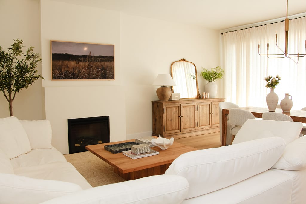 Minimalist Modern Living Room